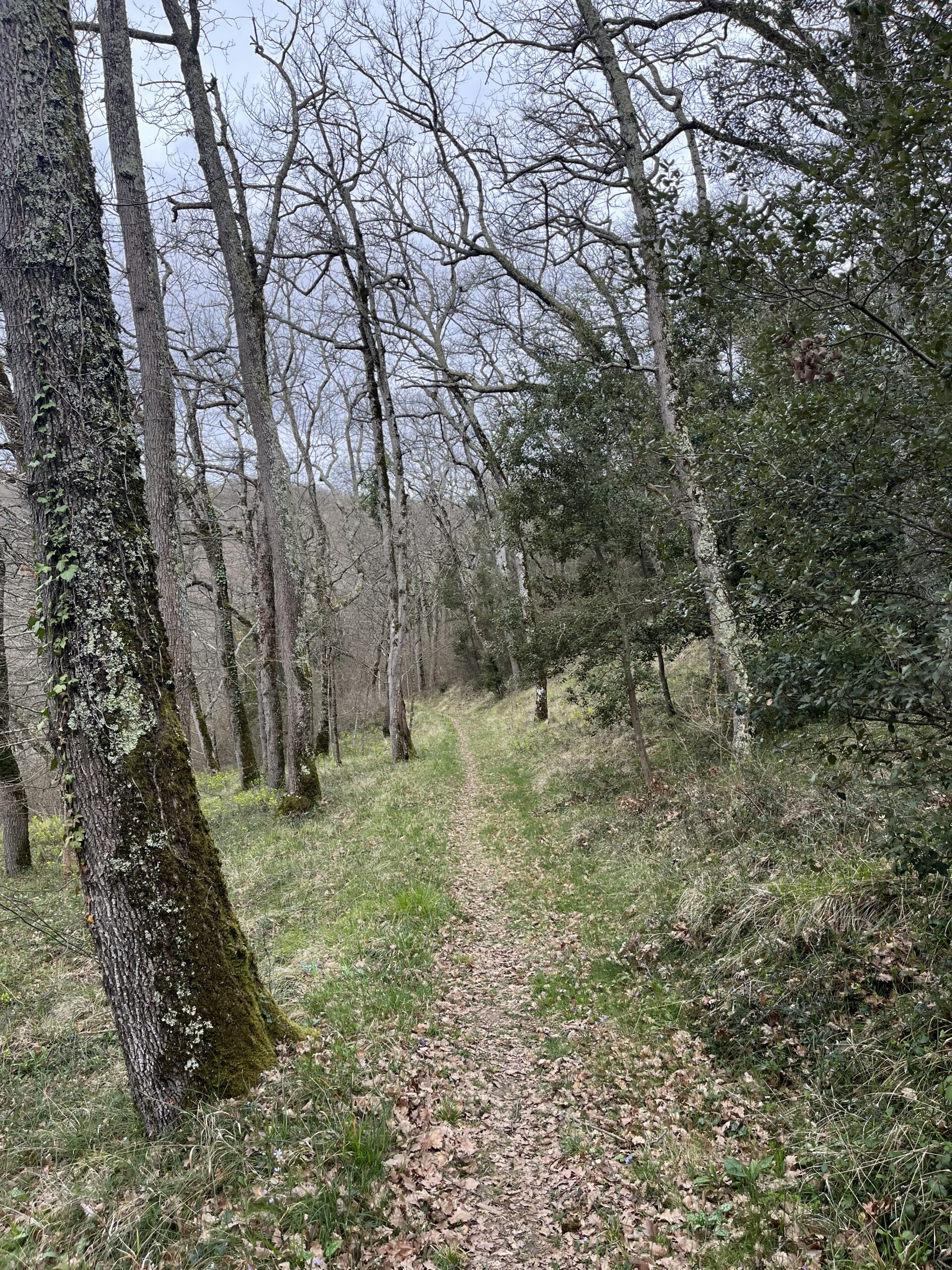 img 3676